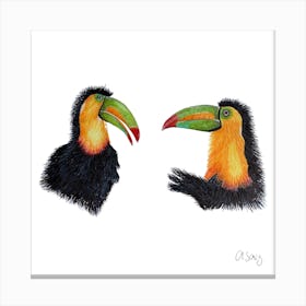 Toucans 2 Canvas Print