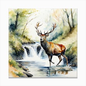 stag crossing woodland stream Canvas Print