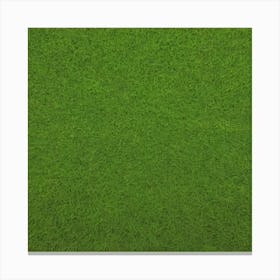 Green Grass Background 15 Canvas Print