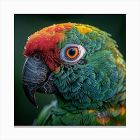 Colorful Parrot 24 Canvas Print