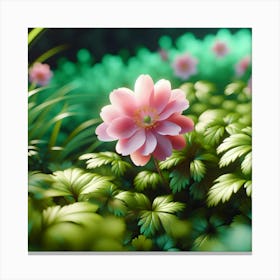 Pink Flower Canvas Print