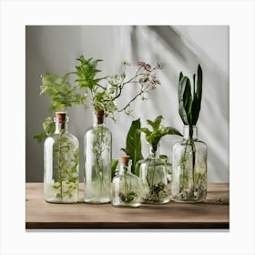 Glass Jars With Plants Canvas Print