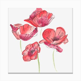 Watercolor Poppies Canvas Print