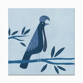 Blue Umbrellabird Bird On A Branch Canvas Print