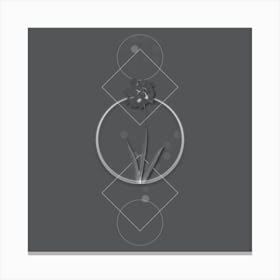 Vintage Ixia Maculata Botanical with Line Motif and Dot Pattern in Ghost Gray n.0024 Canvas Print
