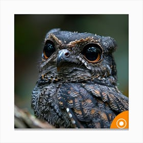 Black Owl Canvas Print