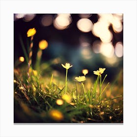 Bokeh, Bokeh Photography, Bokeh Canvas Print