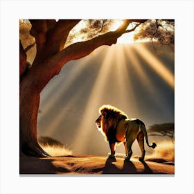 Lion King 9 Canvas Print