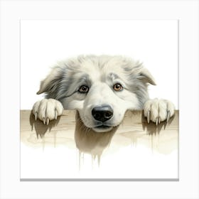 Dog Looking Over Fence Canvas Print