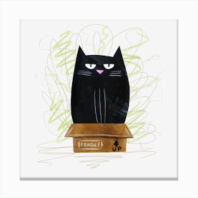 Cat In A Box 1 Canvas Print