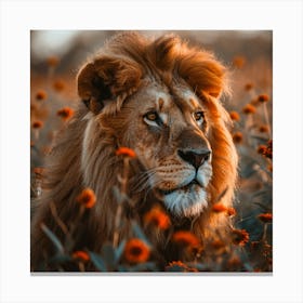 Lion In The Field Canvas Print