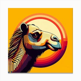 Camel 5 Canvas Print