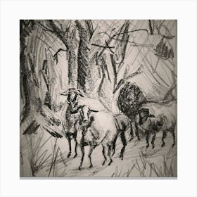 Sheep In The Woods Canvas Print
