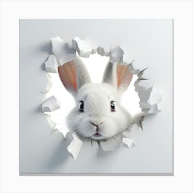 Rabbit Peeking Out Of A Hole 3 Canvas Print