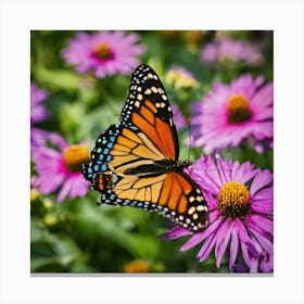Monarch Butterfly 12 Canvas Print