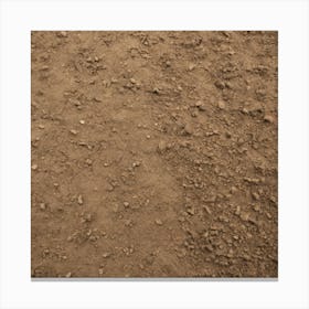 Dirt Background Canvas Print