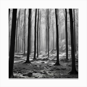 Black And White Forest 2 Canvas Print