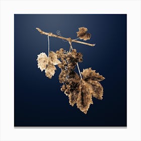 Gold Botanical Grape Colorino on Midnight Navy n.2668 Canvas Print