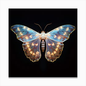 Butterfly 2 Canvas Print