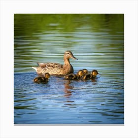 Mother Duck With Ducklings 2 Canvas Print