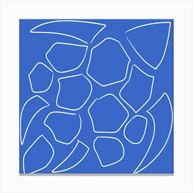 Blue Turtle Canvas Print