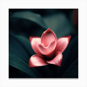 Flower 2 Canvas Print