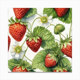 Strawberry Blossoms Canvas Print