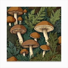 Mushrooms In The Forest 1 Canvas Print