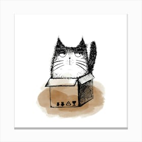 Cat In A Box Canvas Print