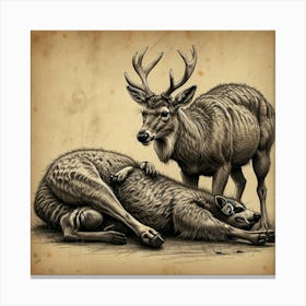 Deer Laying Down Canvas Print