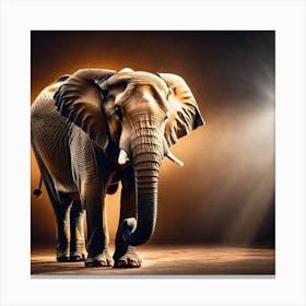 Elephant In The Spotlight Canvas Print