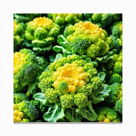 Close Up Of Broccoli 17 Canvas Print