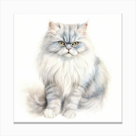 British Longhair Persian Cat Portrait 3 Canvas Print