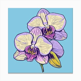 Orchids 19 Canvas Print