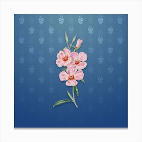 Vintage Pink Ruddy Godetia Botanical on Bahama Blue Pattern Canvas Print