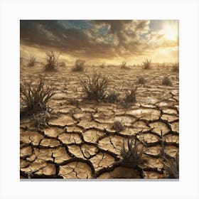 Dry Landscape 12 Canvas Print