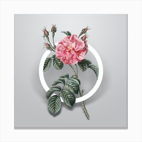 Vintage Pink Wild Rose Minimalist Botanical Geometric Circle on Soft Gray Canvas Print