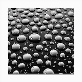 Water Droplets 21 Canvas Print