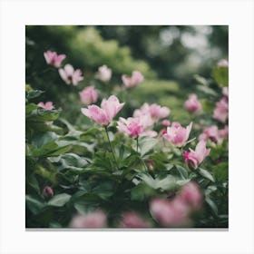 Pink Flowers In The Garden Canvas Print