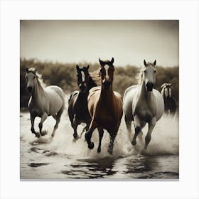 Horses splash of freedom Canvas Print