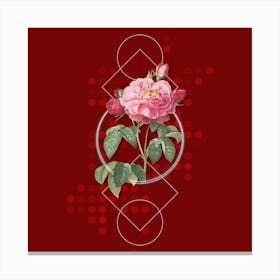 Vintage Duchess of Orleans Rose Botanical with Geometric Line Motif and Dot Pattern n.0293 Canvas Print