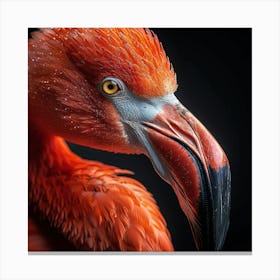 Flamingo Portrait Canvas Print