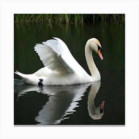 Swan In Water 3 Canvas Print