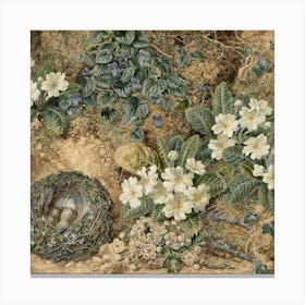 Nest 6 Canvas Print