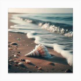 Seashell On The Beach 4 Canvas Print