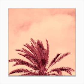 Half Palm Tree Nature Square Photo Beige Coral Terracotta Vintage Retro Canvas Print
