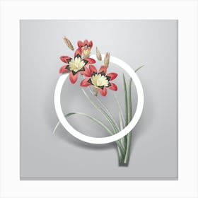 Vintage Ixia Tricolore Minimalist Flower Geometric Circle on Soft Gray n.0208 Canvas Print