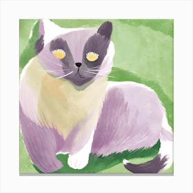 Siamese Cat 2 Canvas Print