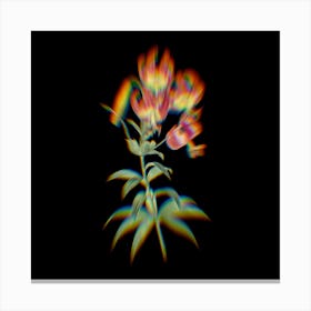 Prism Shift Turban Lily Botanical Illustration on Black n.0243 Canvas Print
