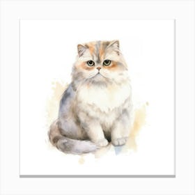 Scottish Fold Longhair Cat Portrait 1 Canvas Print